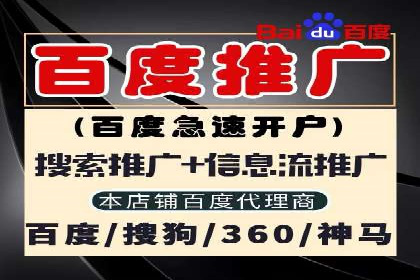某电商平台的SEM服务托管全流程案例
